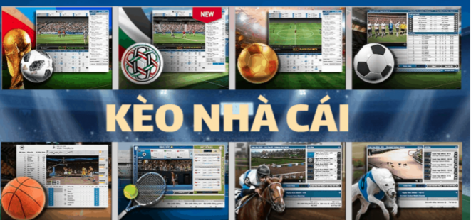 Bật Mí Cách Chinh Phục Kèo Tài Xỉu Cho Người Mới Ku11
